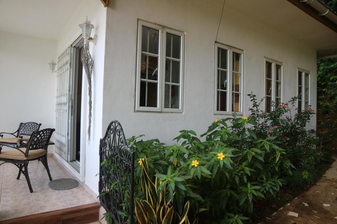 Seychelles Yellow Petals Anse Boileau Exterior foto