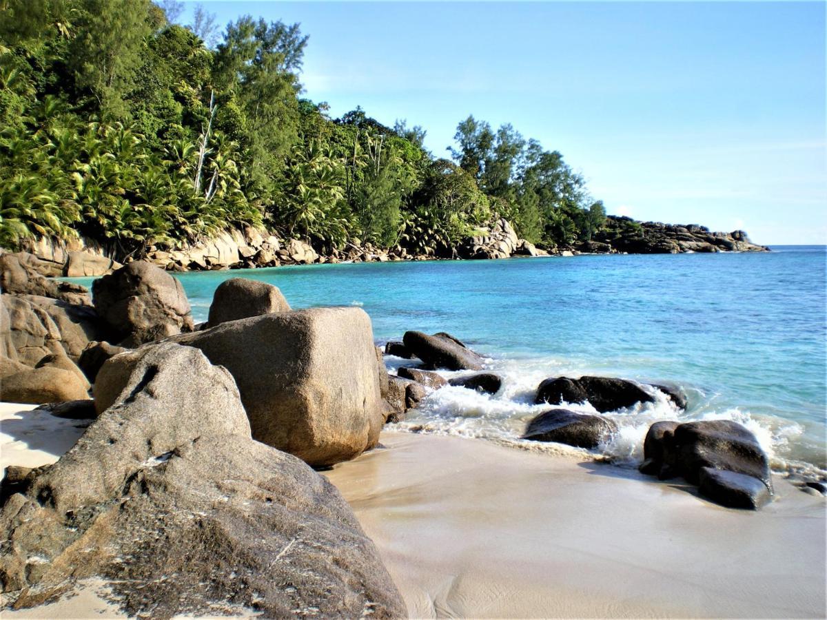 Seychelles Yellow Petals Anse Boileau Exterior foto
