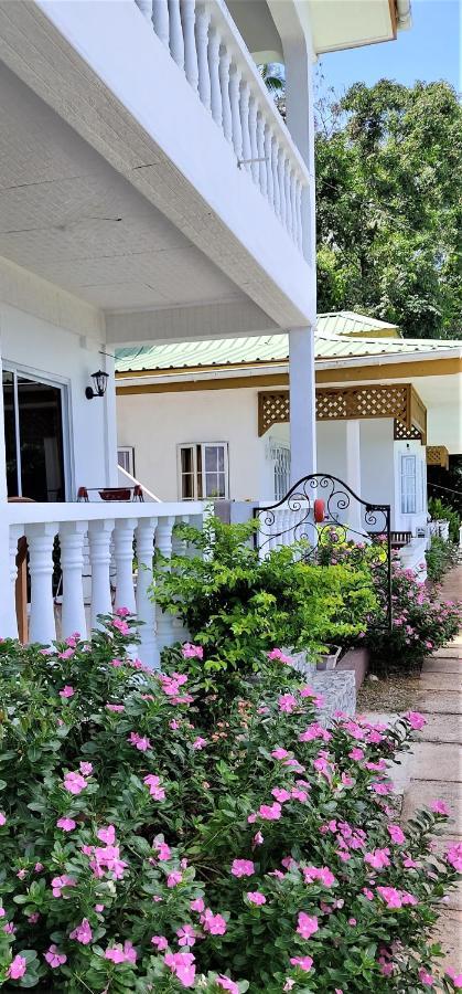 Seychelles Yellow Petals Anse Boileau Exterior foto