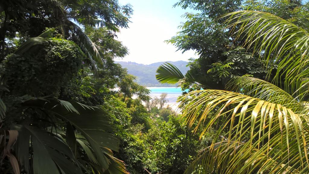 Seychelles Yellow Petals Anse Boileau Exterior foto