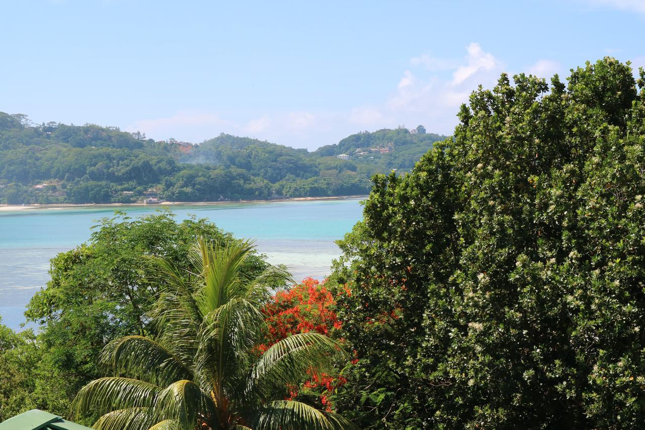 Seychelles Yellow Petals Anse Boileau Exterior foto